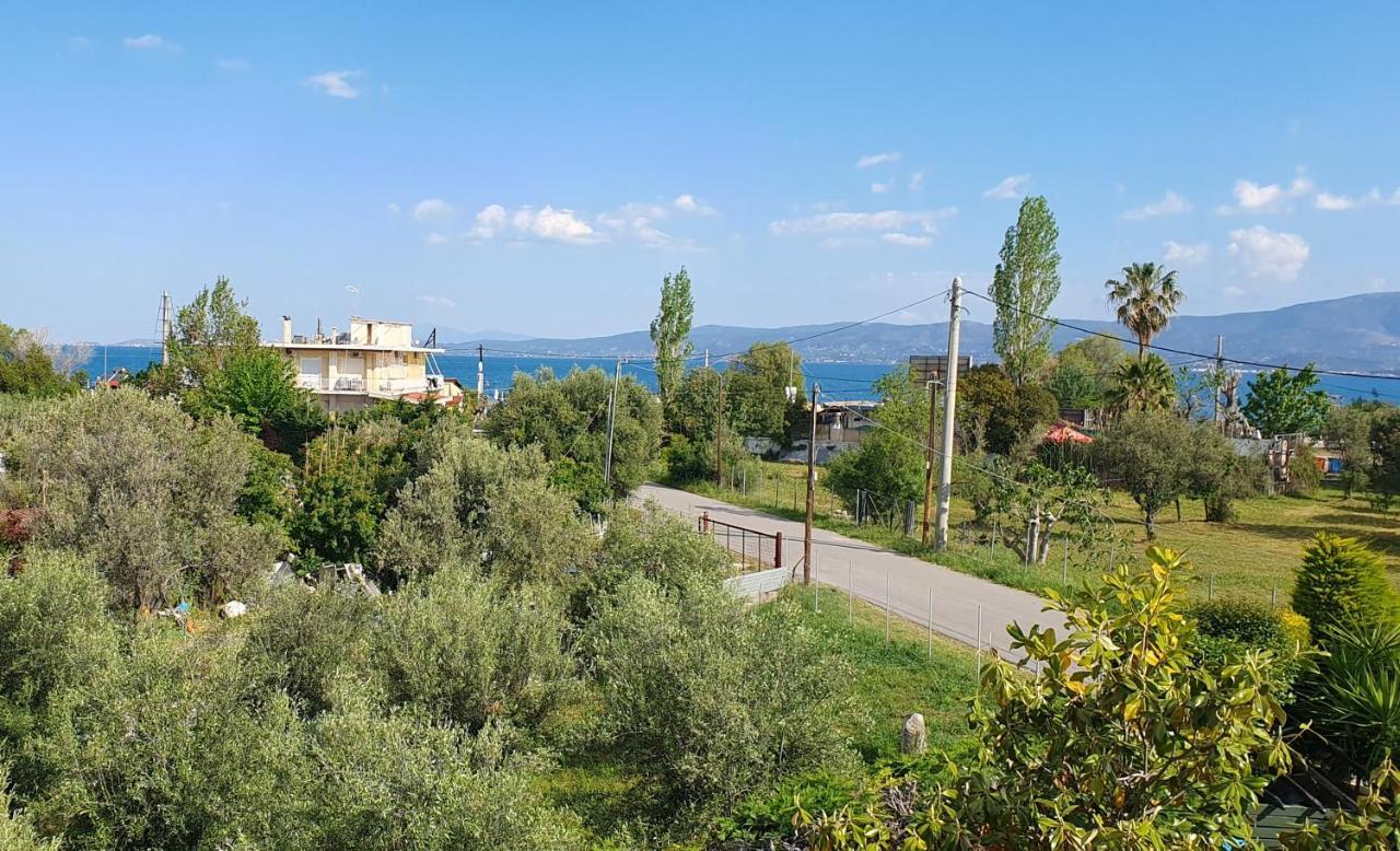 Vacation And Relaxation Home Oropos Nea Palatia Bagian luar foto