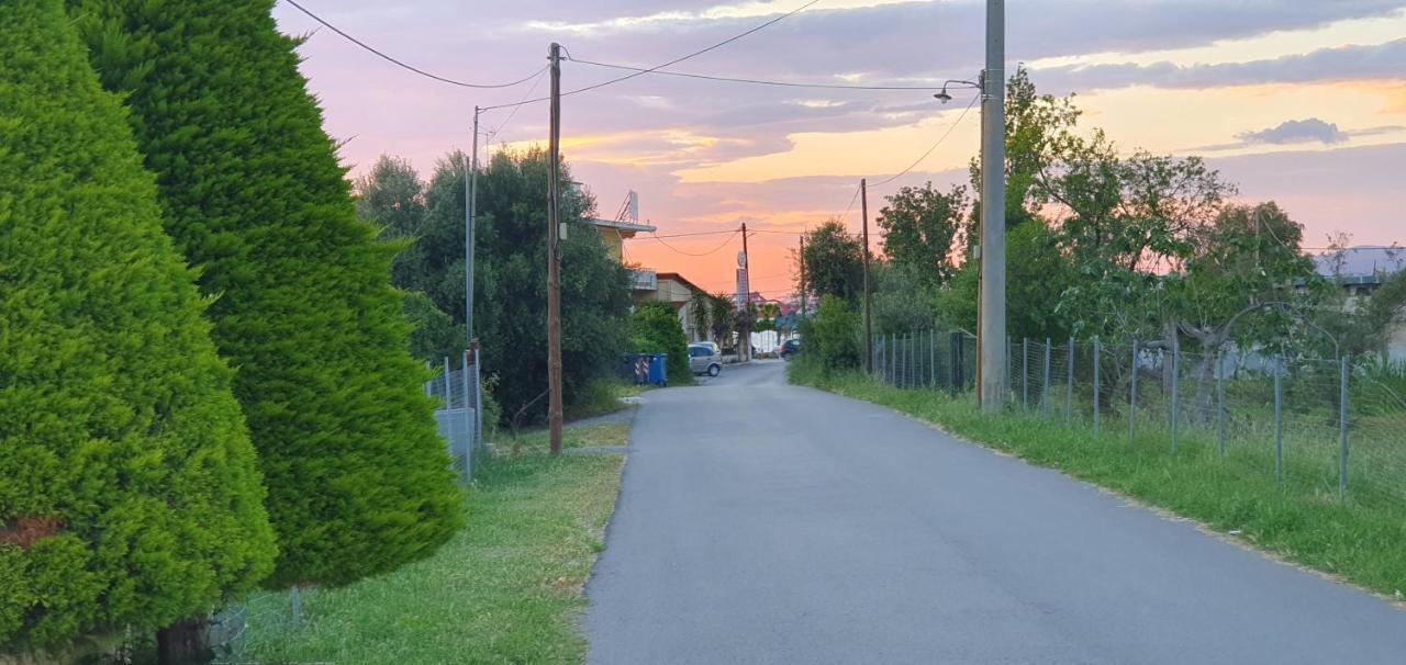 Vacation And Relaxation Home Oropos Nea Palatia Bagian luar foto